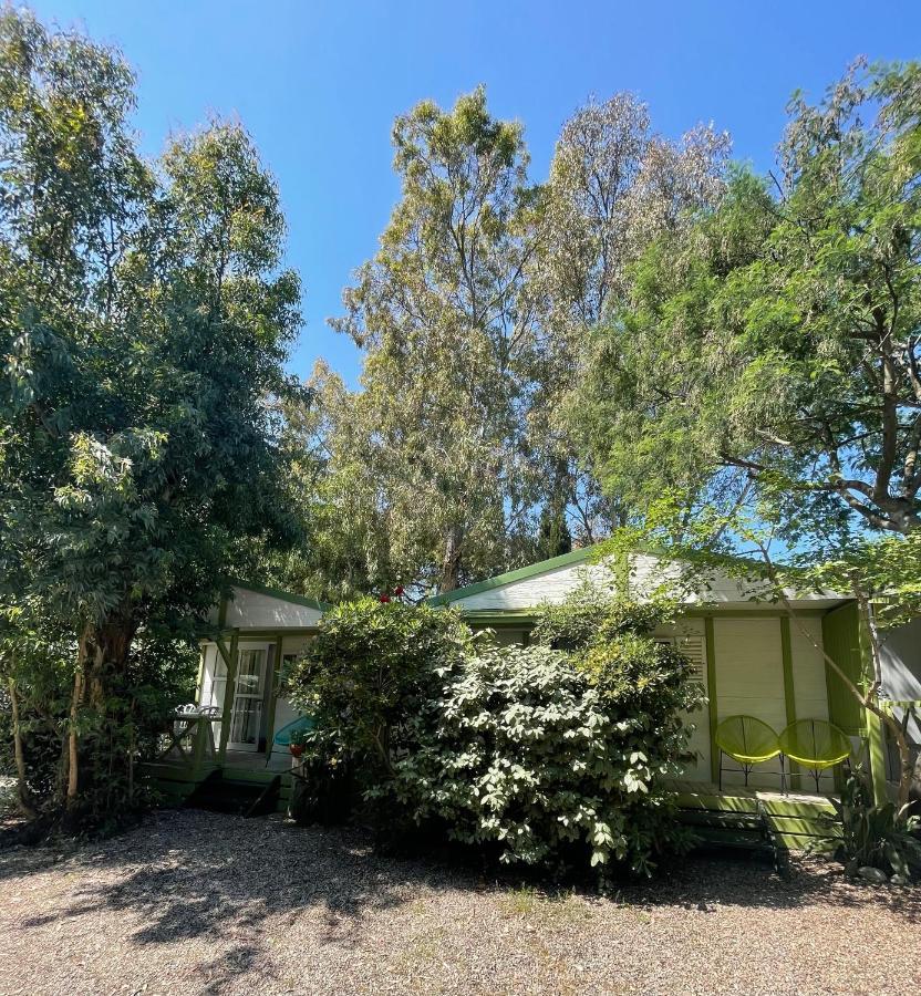Camping La Cle Des Champs Calvi (Corsica) Exterior foto