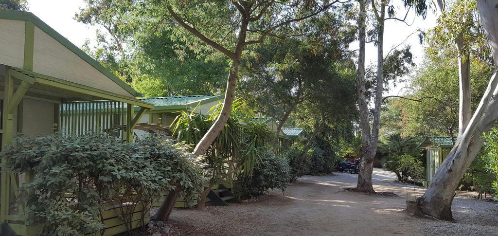 Camping La Cle Des Champs Calvi (Corsica) Exterior foto