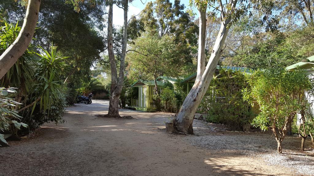 Camping La Cle Des Champs Calvi (Corsica) Exterior foto