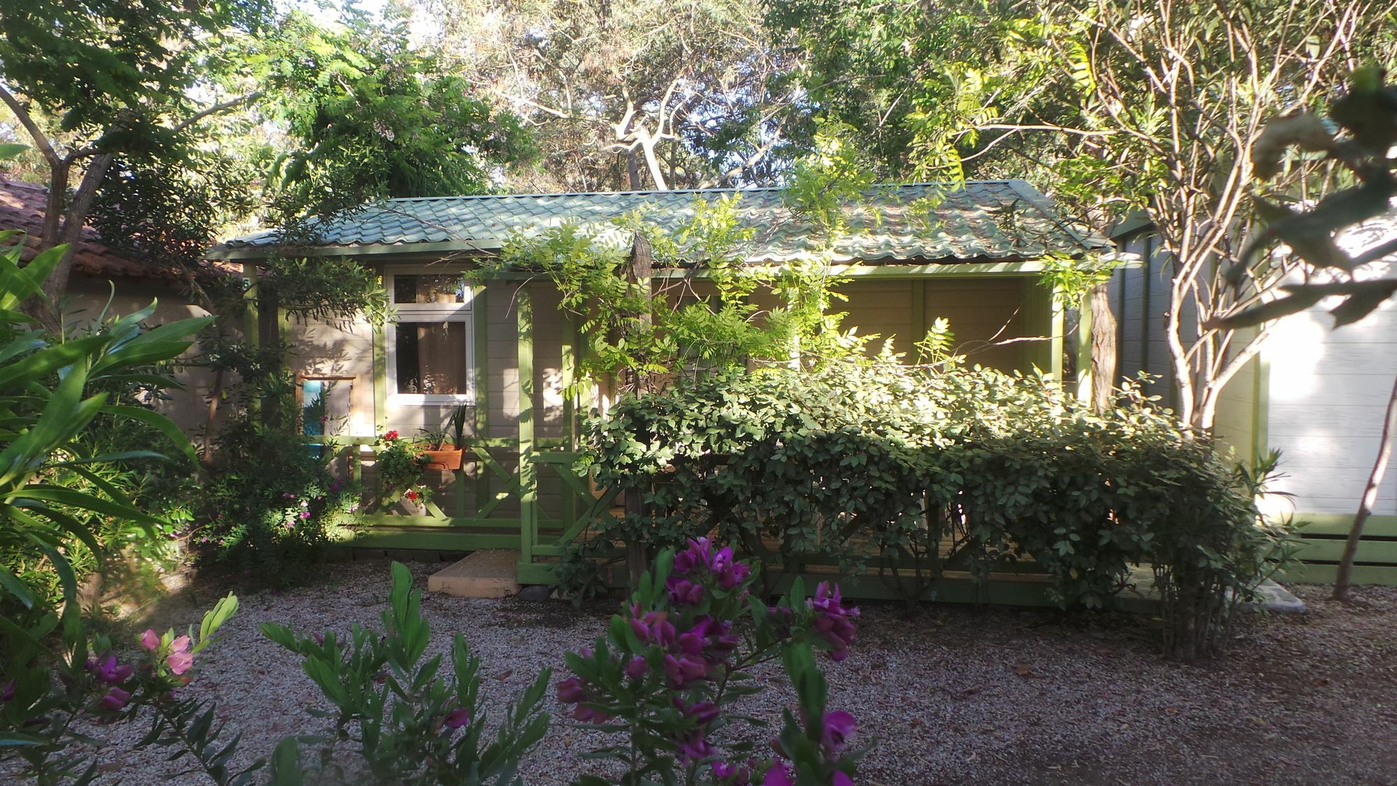 Camping La Cle Des Champs Calvi (Corsica) Exterior foto