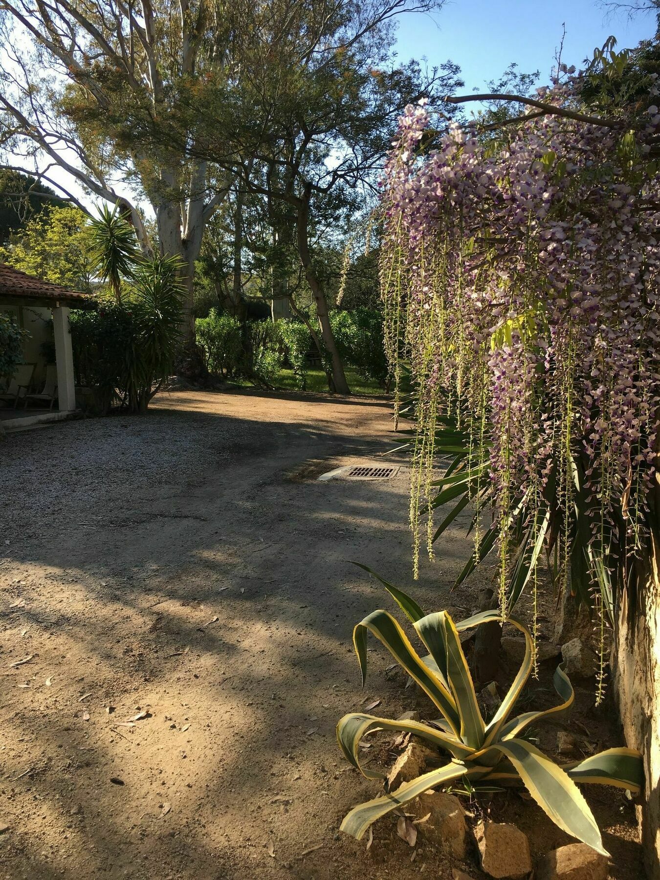 Camping La Cle Des Champs Calvi (Corsica) Exterior foto